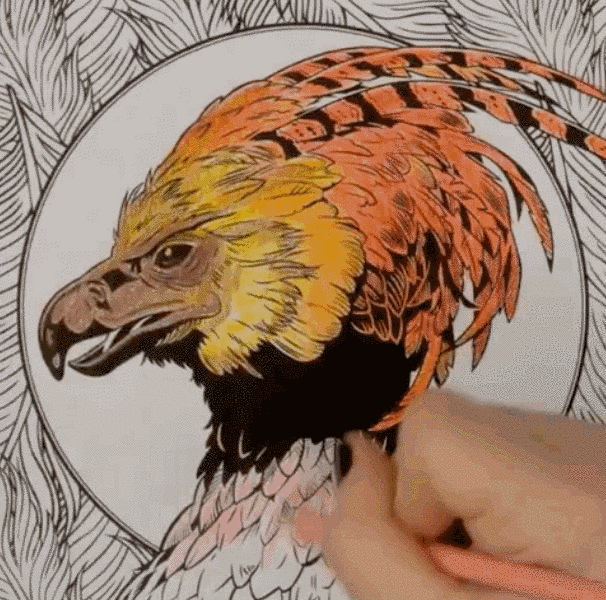 Harry Potter Magical Creatures Coloring Book Colored